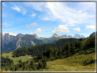 foto Passeggiata dal Col dei Balbi al Rifugio Coldai